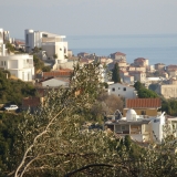 Вид на Улцинь из оливкового леса