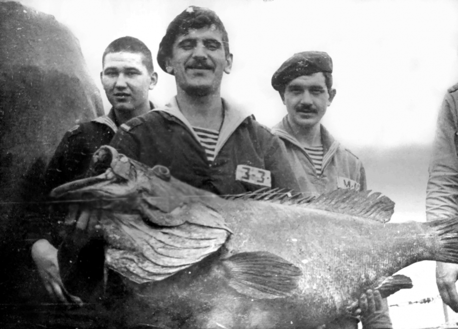 Мой фотоальбом