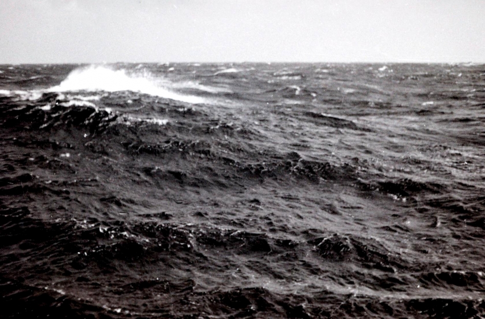 Море, море...
